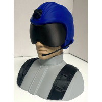 MAV Pilot - Aerobatic 35% scale - BLUE